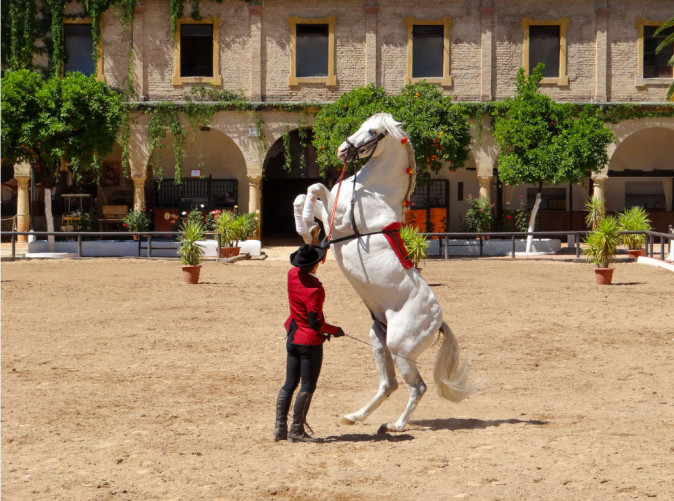 014_Koeniglich-Andalusische Reitschule - 35 - Credit Fabricio - stock.adobe.com